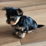 Zdjęcie profilowe Awaria