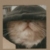 Zdjęcie profilowe Mary_Kamerek