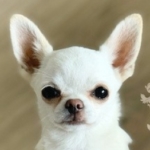 Zdjęcie profilowe Marysia